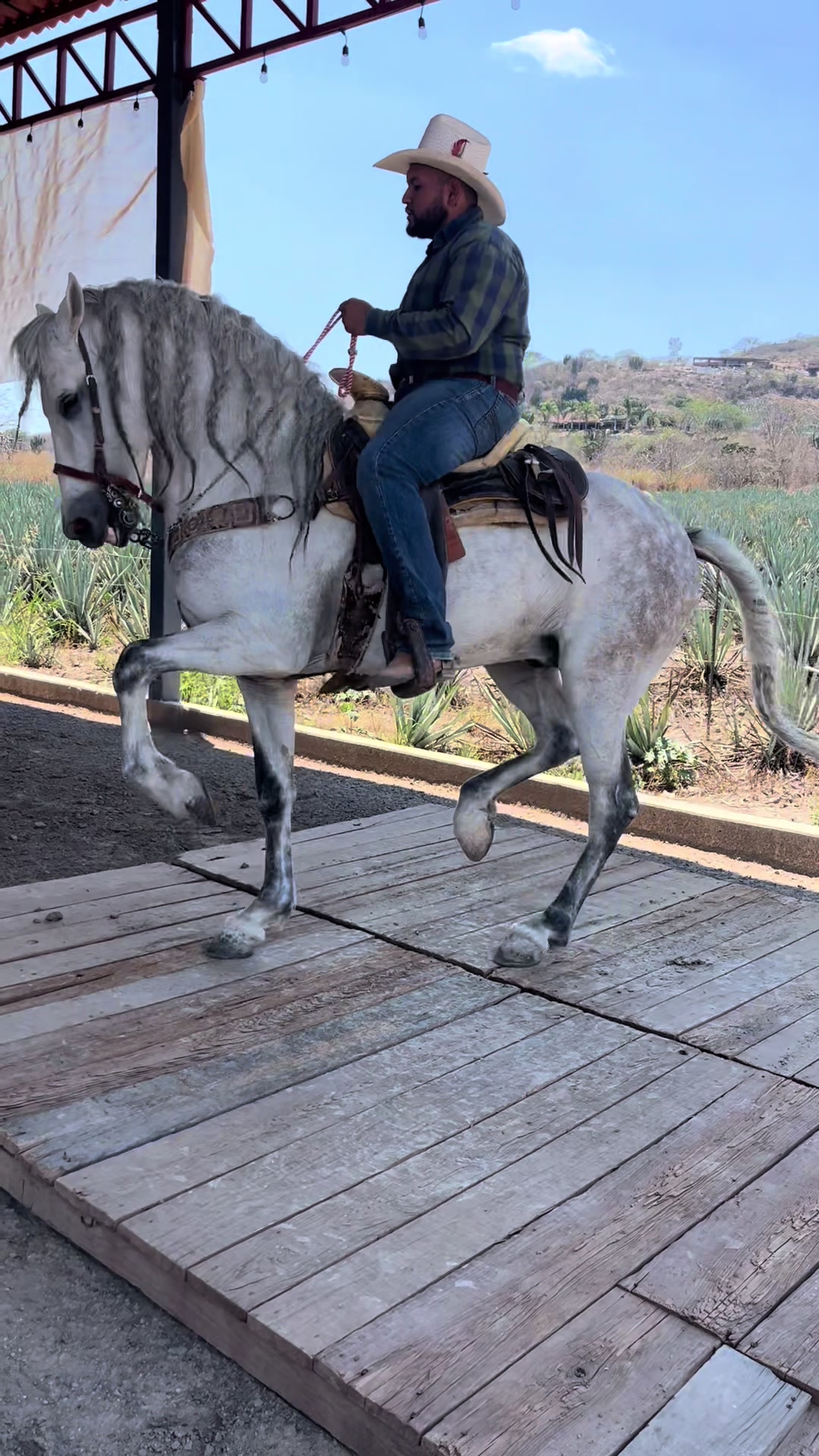 @Rober Villase&ntilde;or