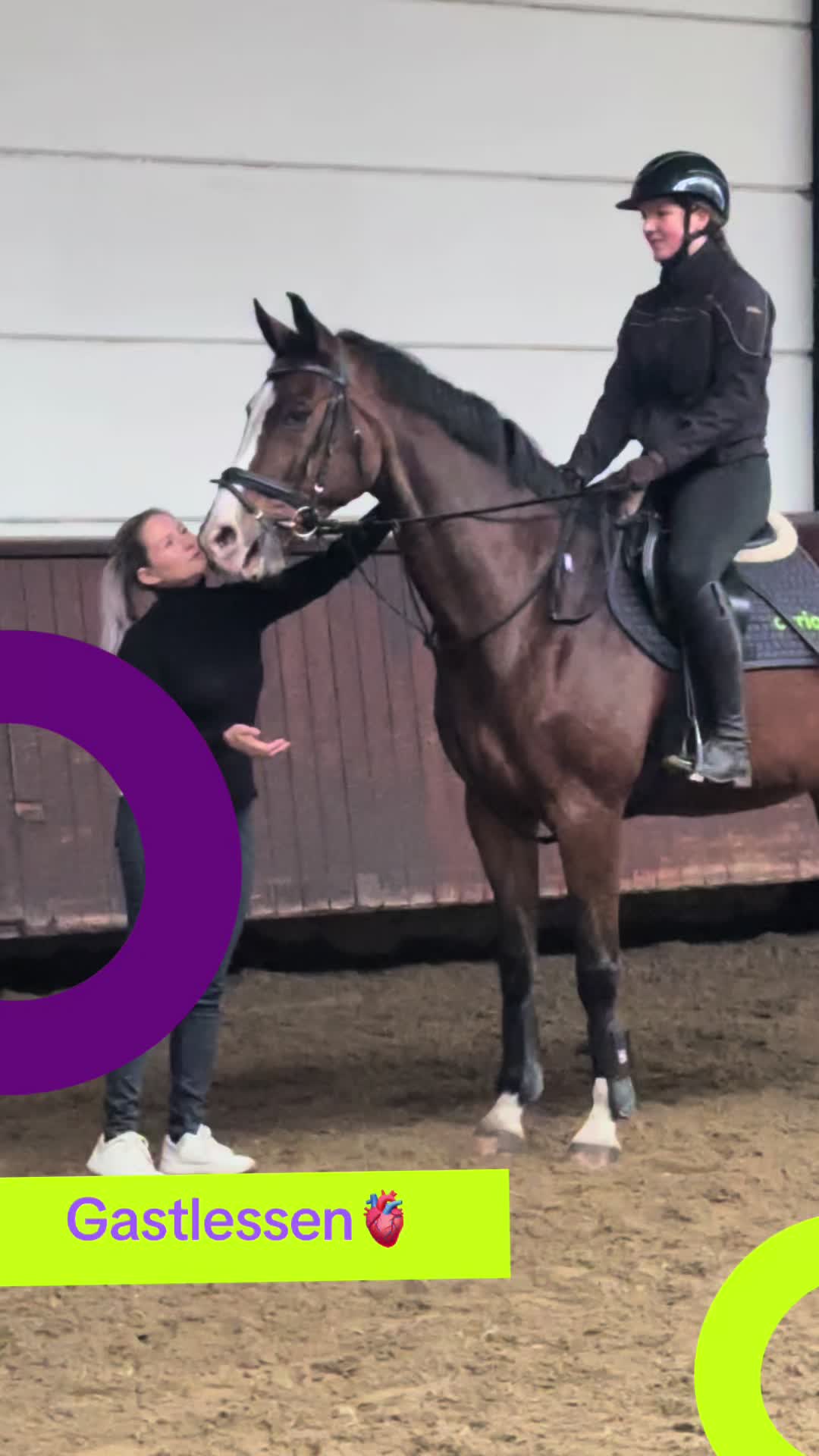 @Paardensport & -houderij Curio