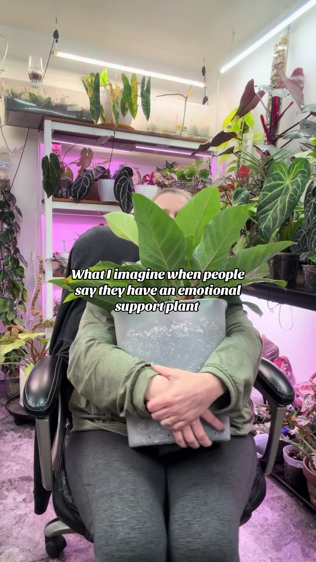 @Pothosiblyaboutplants