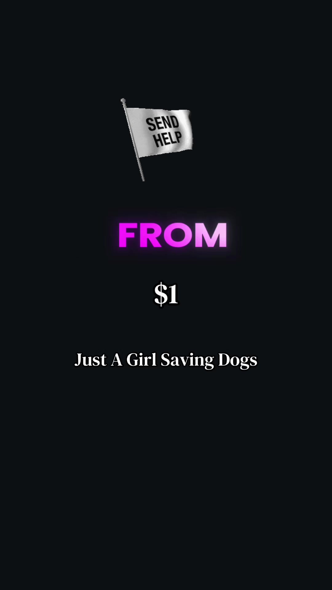 @Just A Girl Saving Dogs