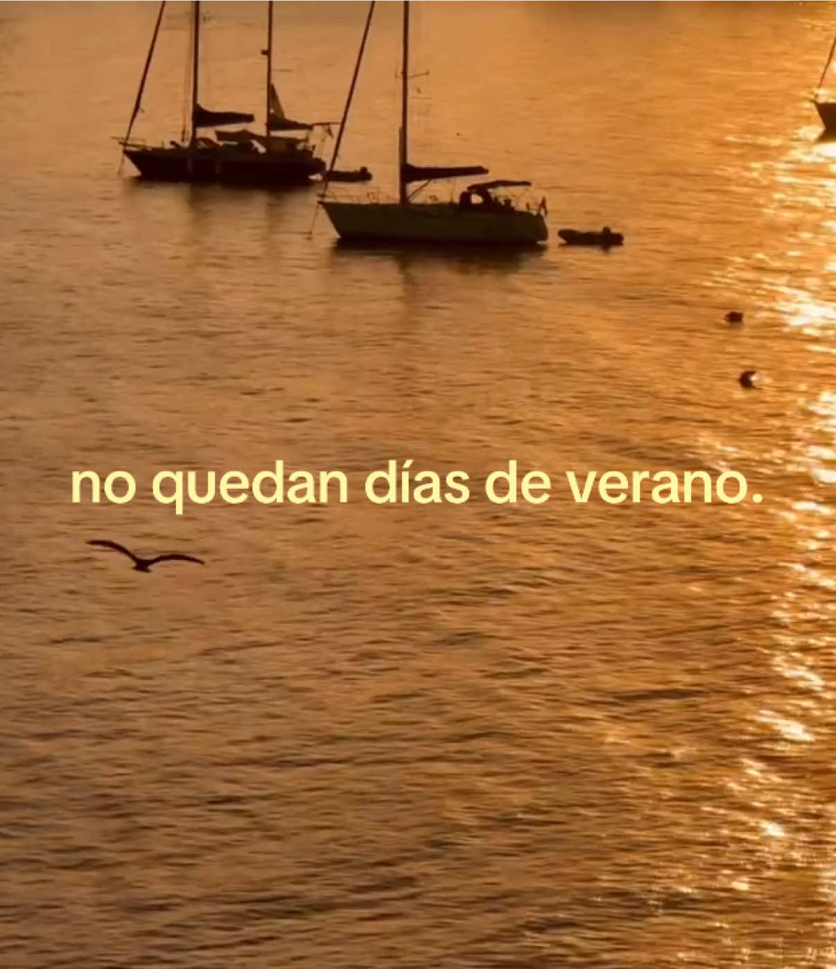 @andrea 🪩