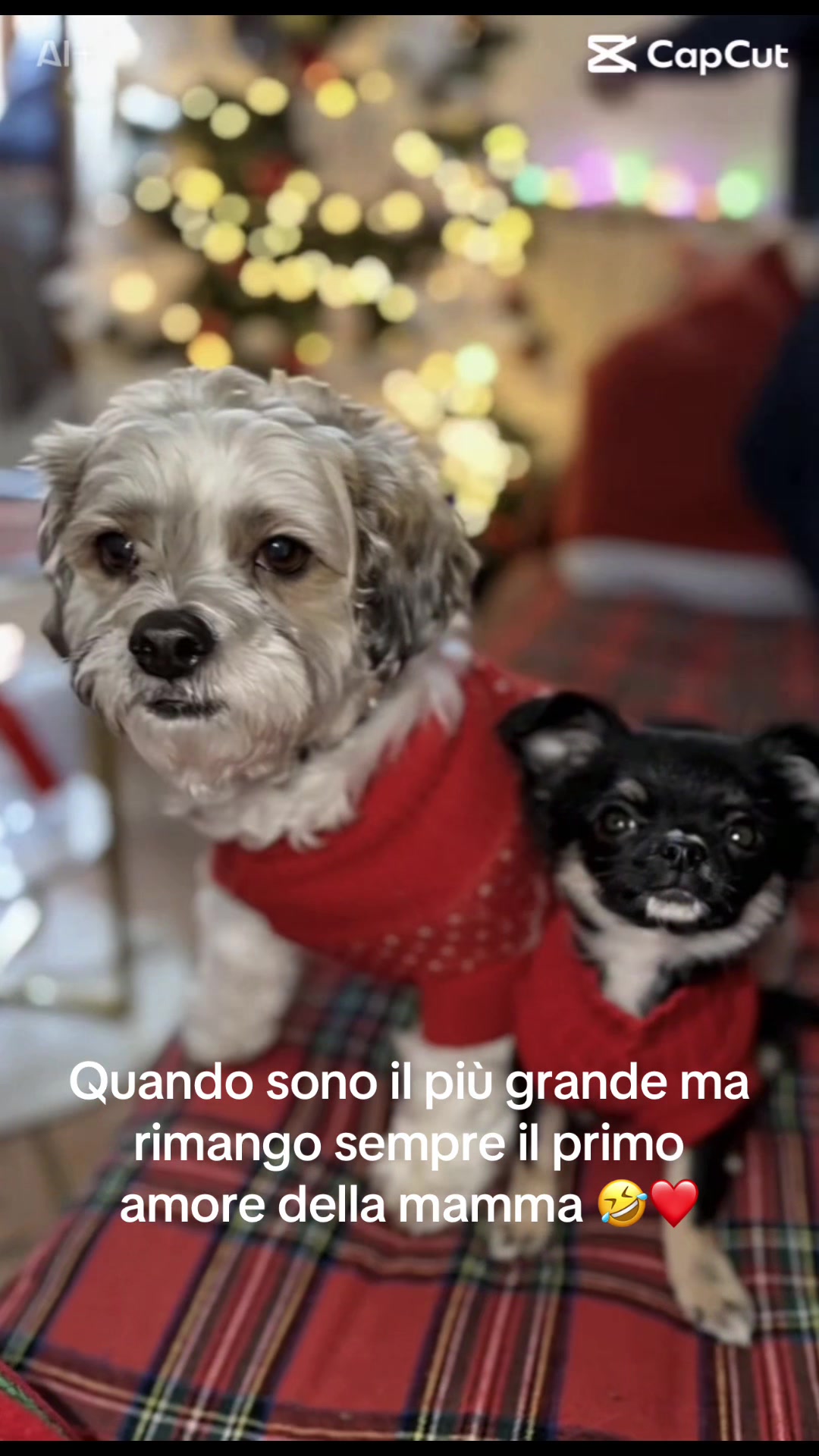 @Raffaellabianca12