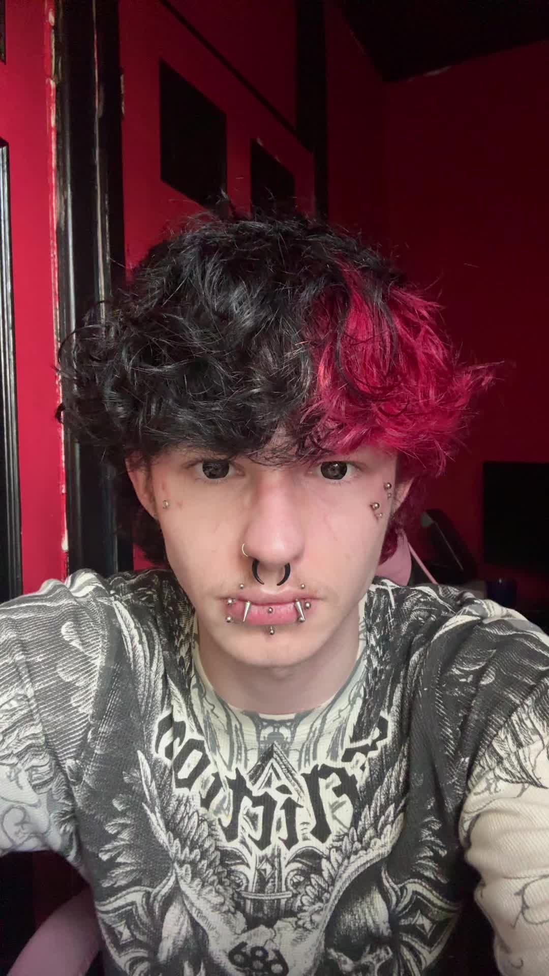 @🦇