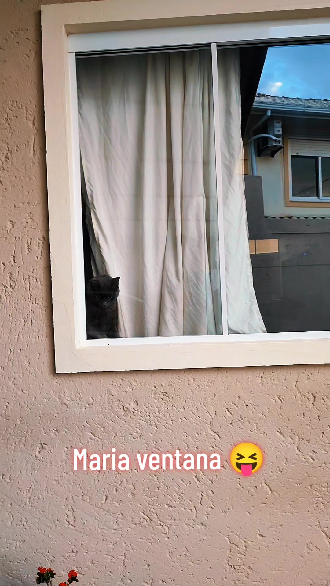 @Bianca Cordero.