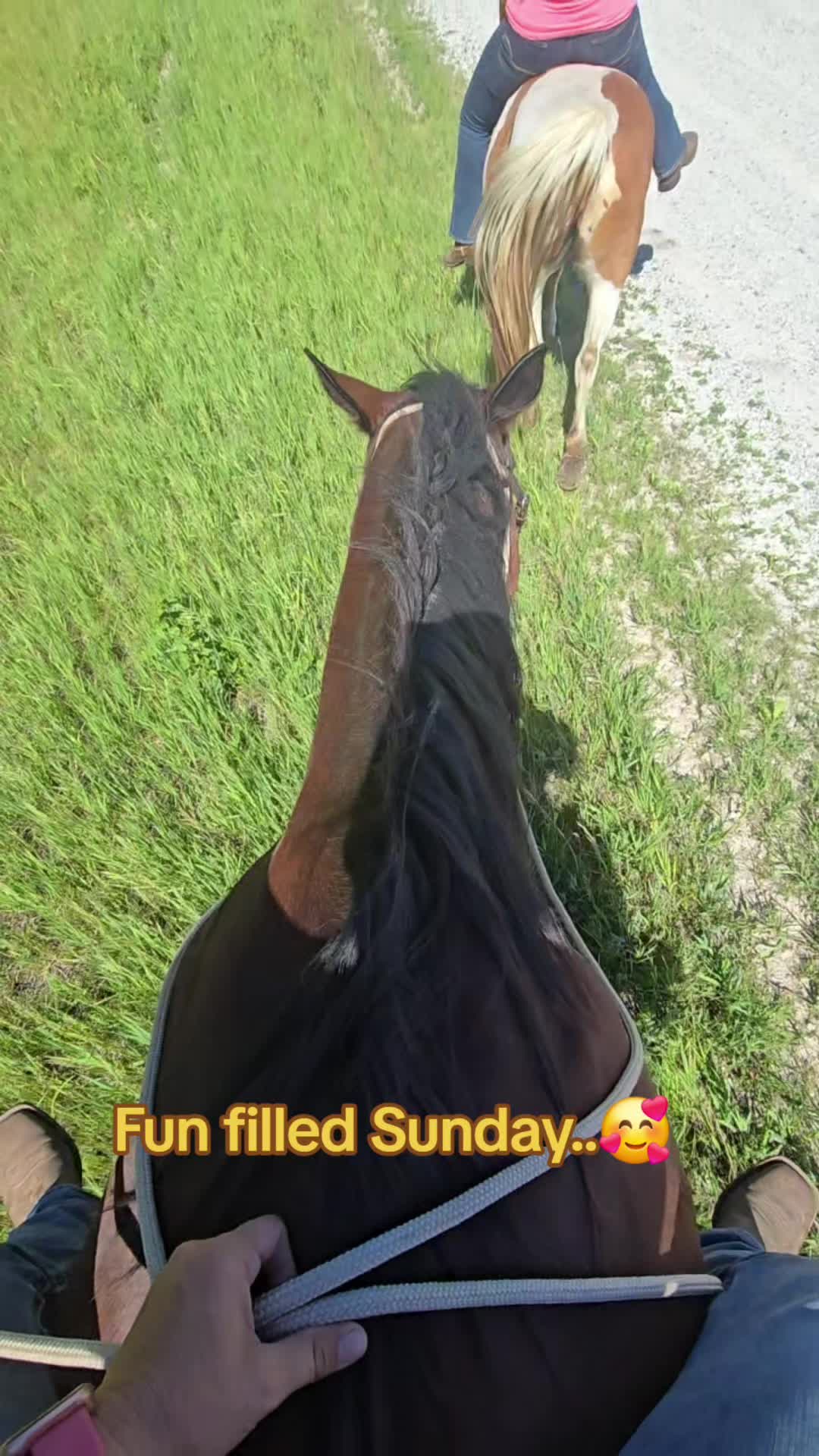 @Small Town Farm LLC