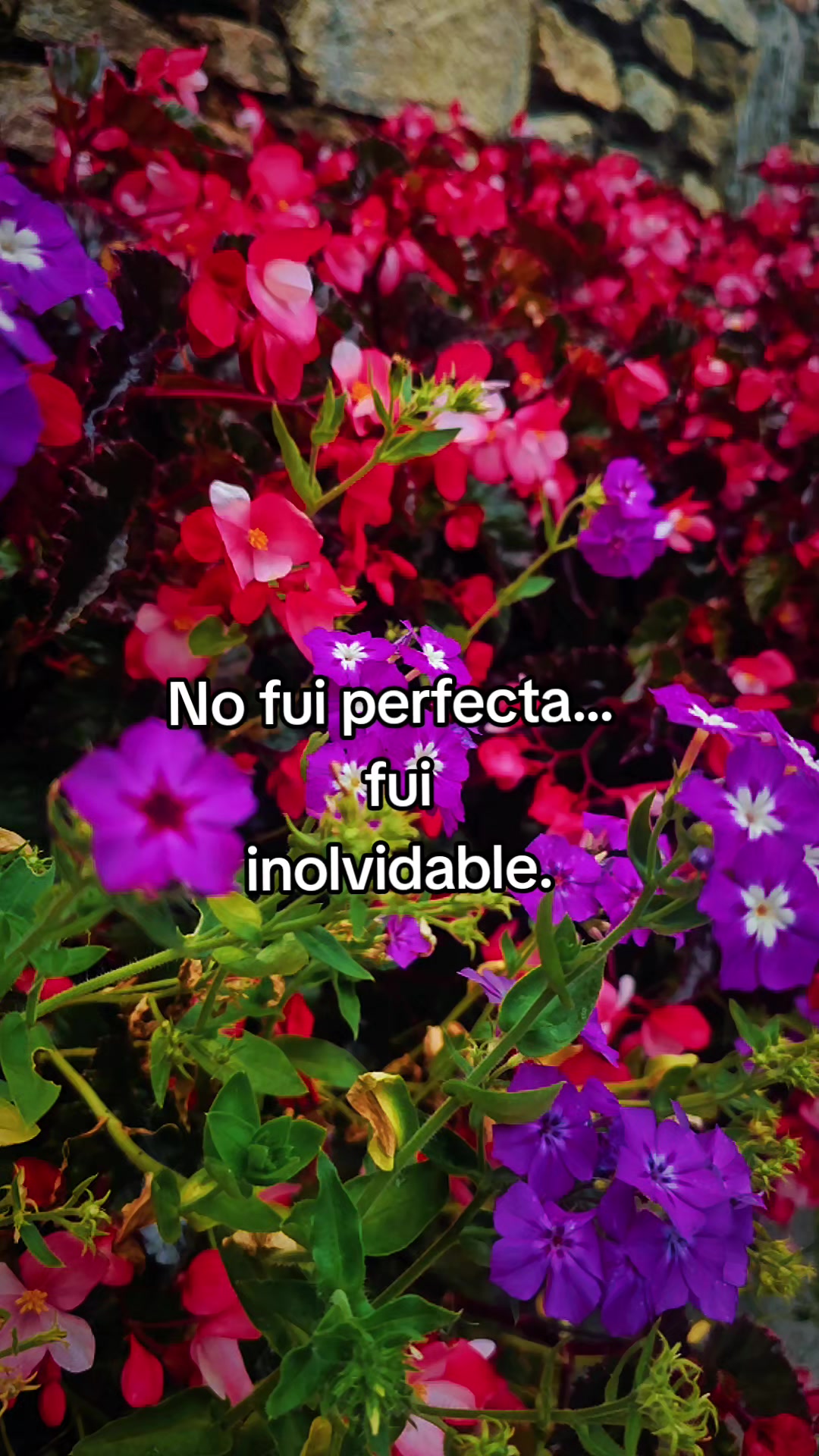 @cris