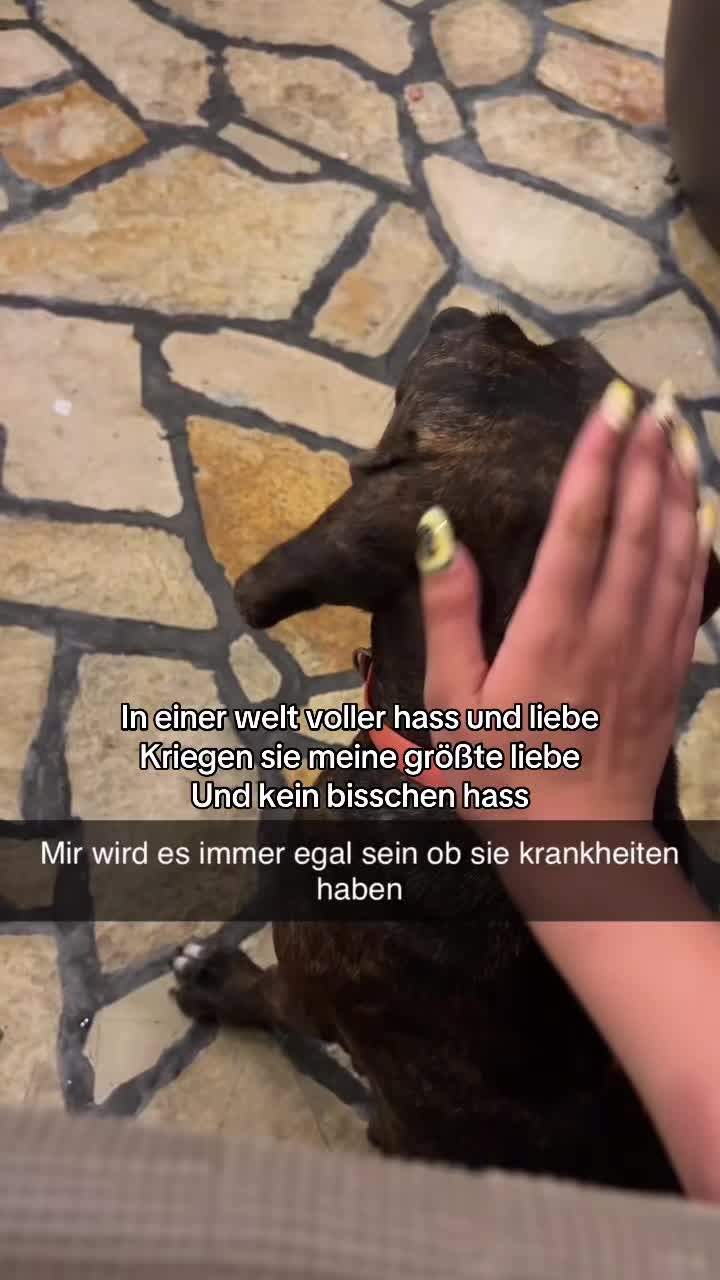 @𝐓𝒶𝒿𝓇𝒶