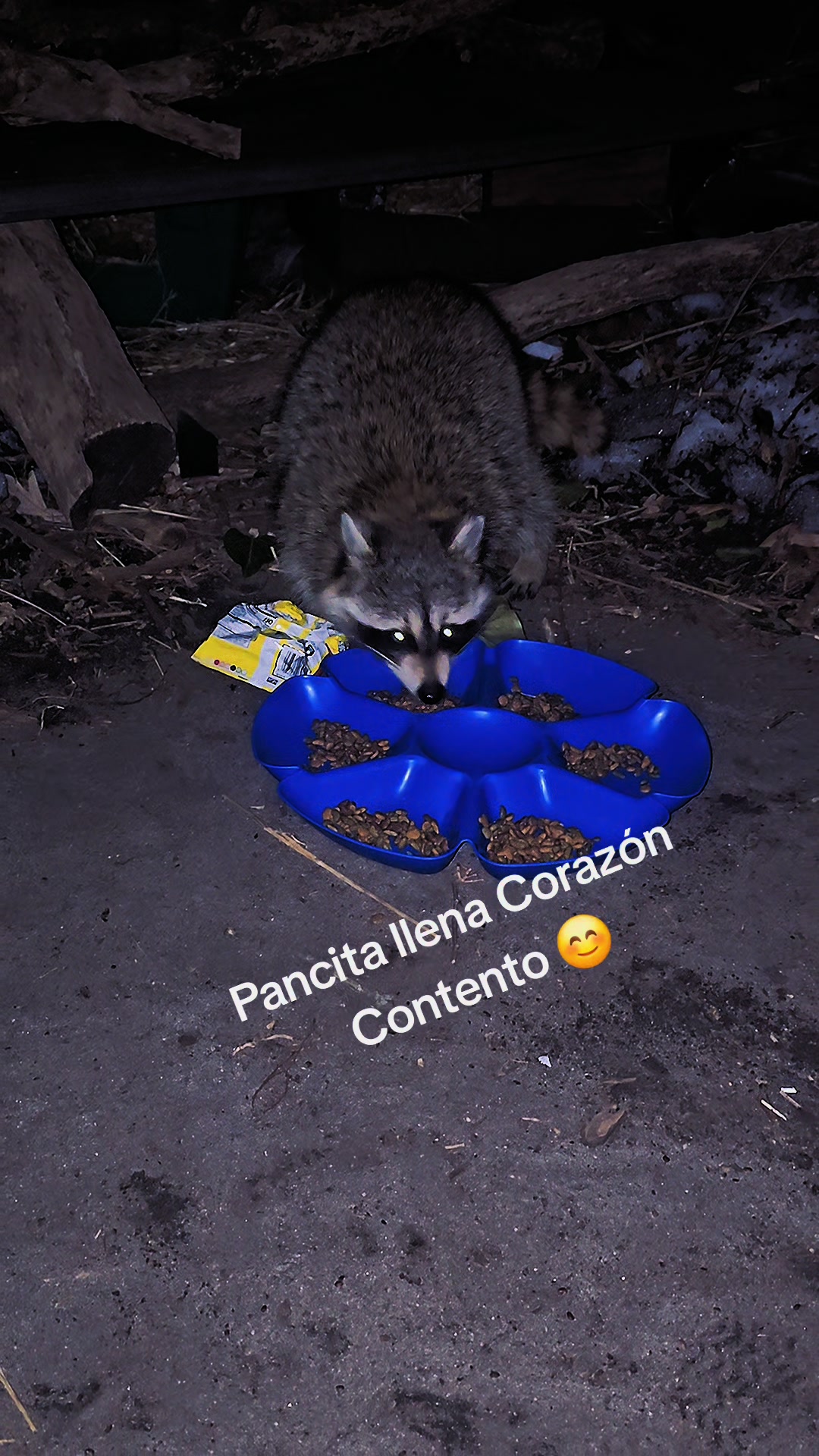 @🇲🇽Guli.Carrada 🐈&zwj;⬛
