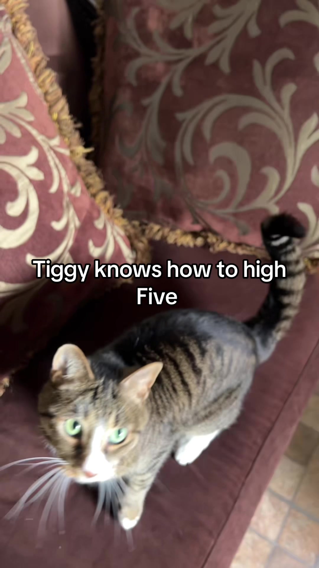 @Tiggy