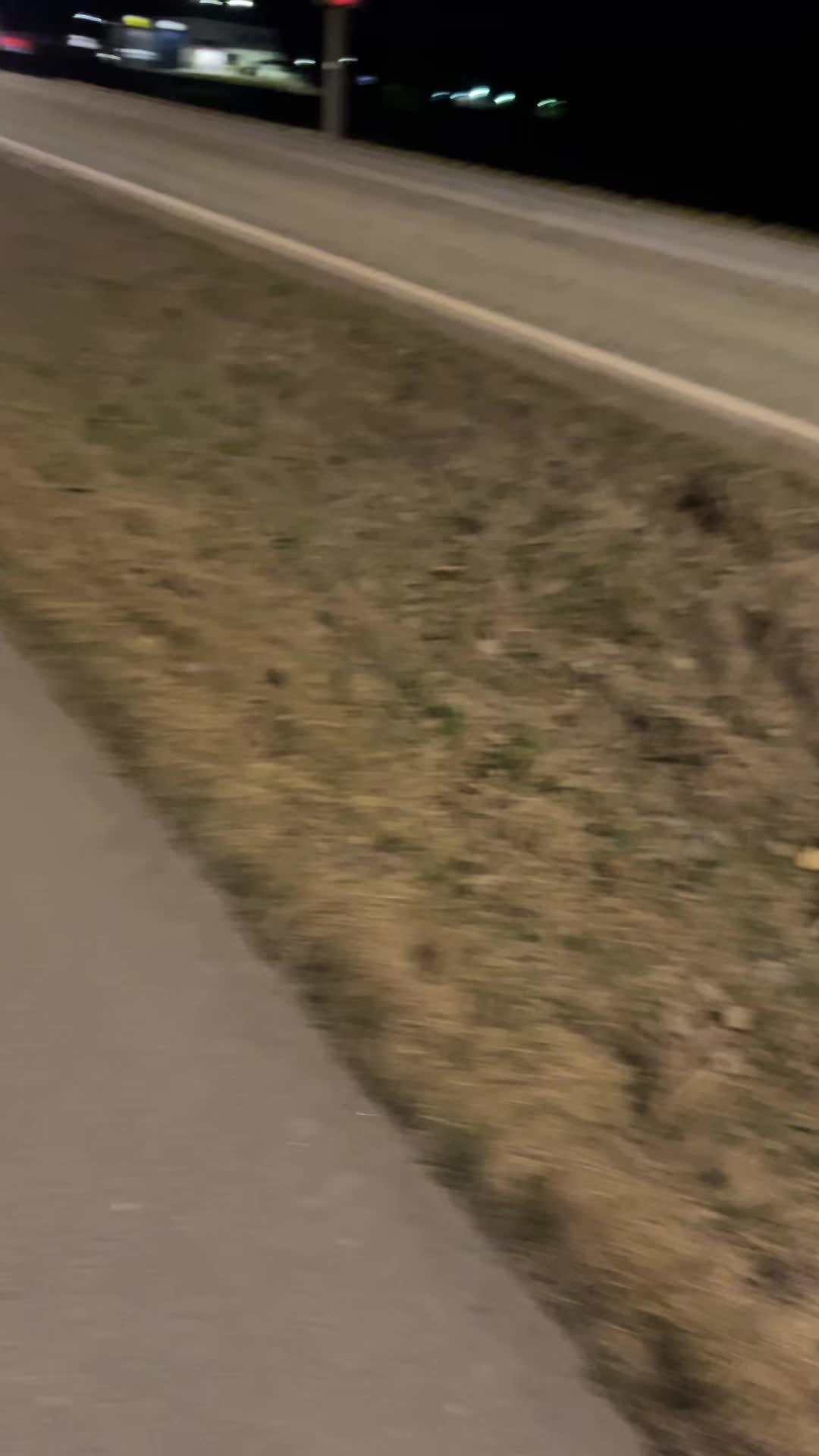 @heddaelstad
