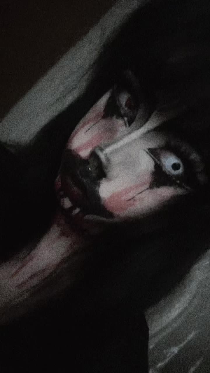 @૮₍ ˶•⤙•˶ ₎ა