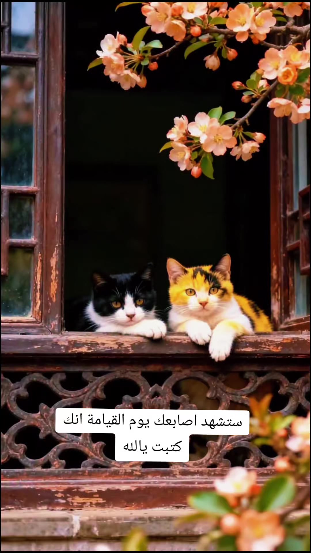 @عباس كريم