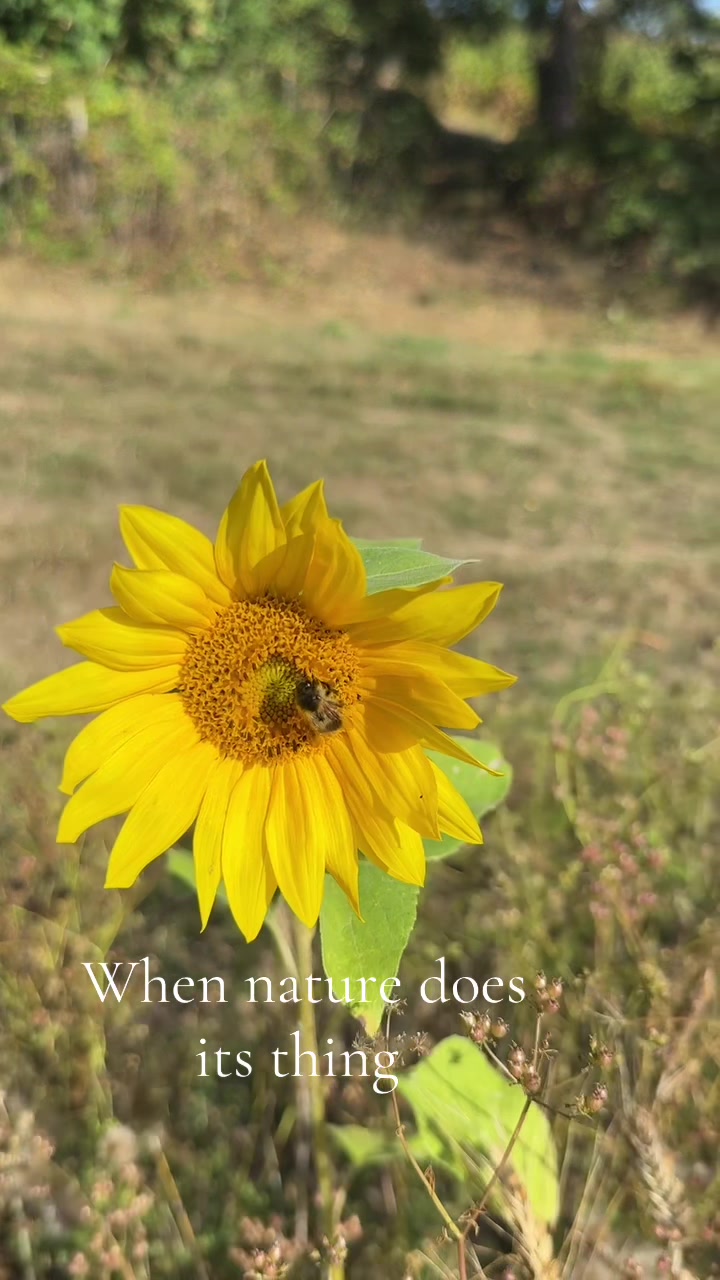 @MaruisAldridge.com