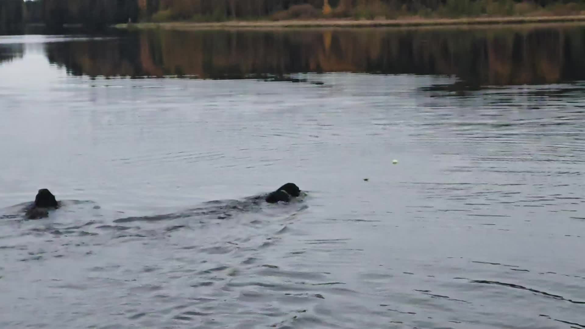 @JRflies _Finland