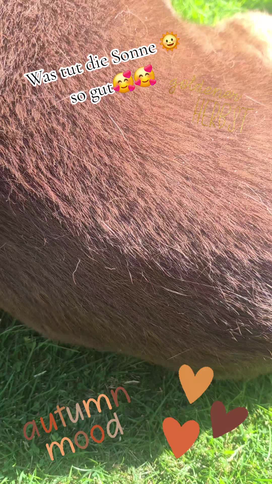 @😈_Eiskaltes_Miststück_😈