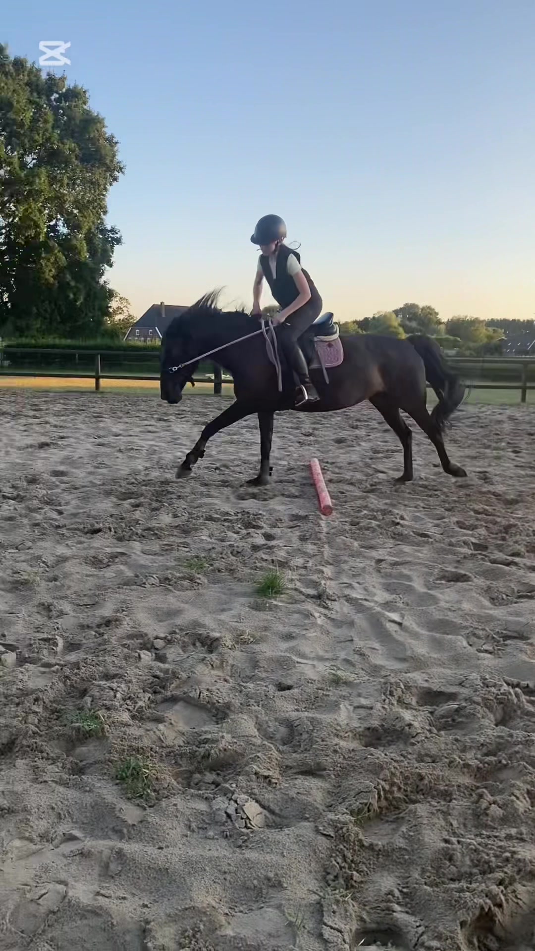 @Equi Roosje🇳🇱