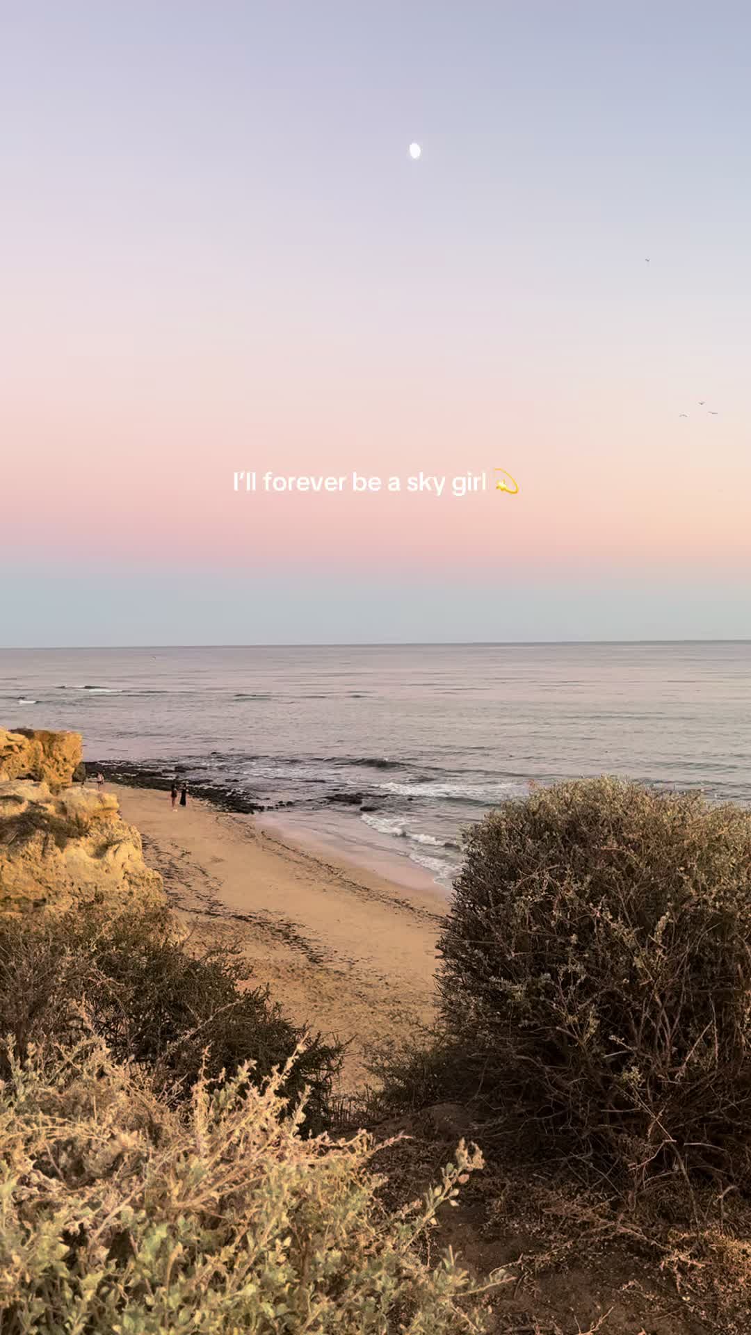 @Beth Dunthorne 🐚✨