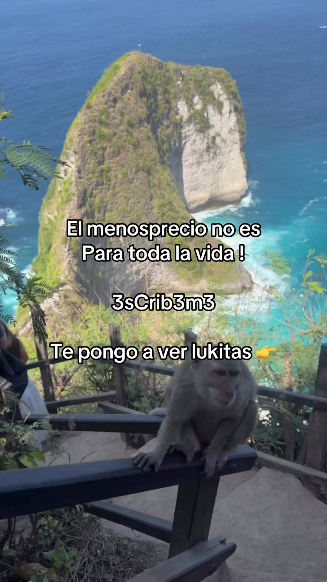 @Capo_Zebas333