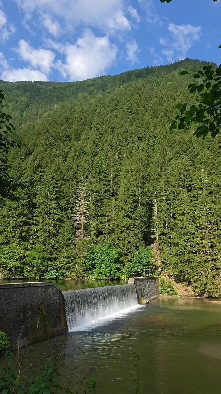 @DELŞAD GUZEM