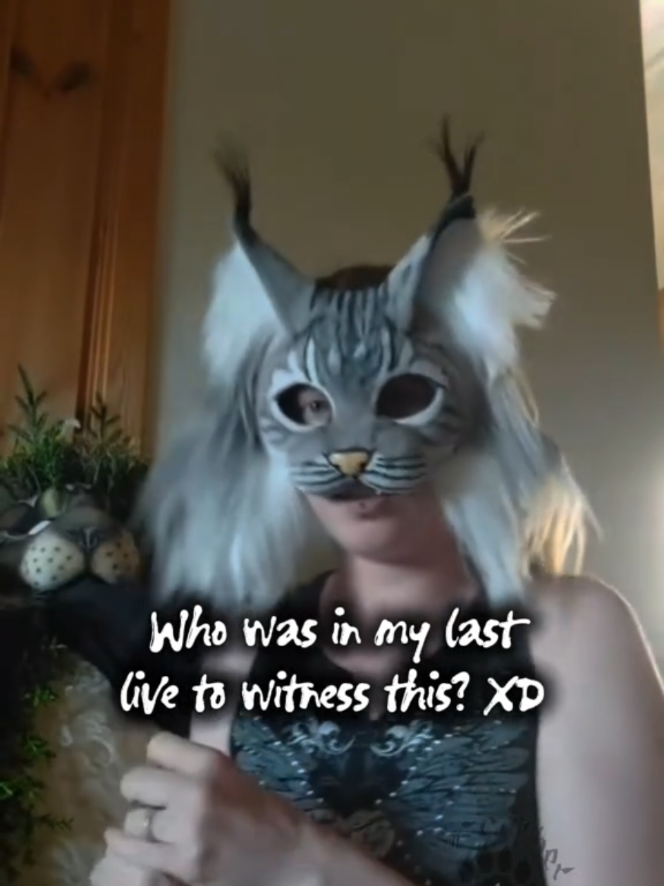 @๐๐ผ๐๐ฟForest Whispers๐พ๐๐ผ