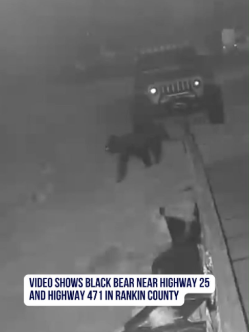 @WLBT