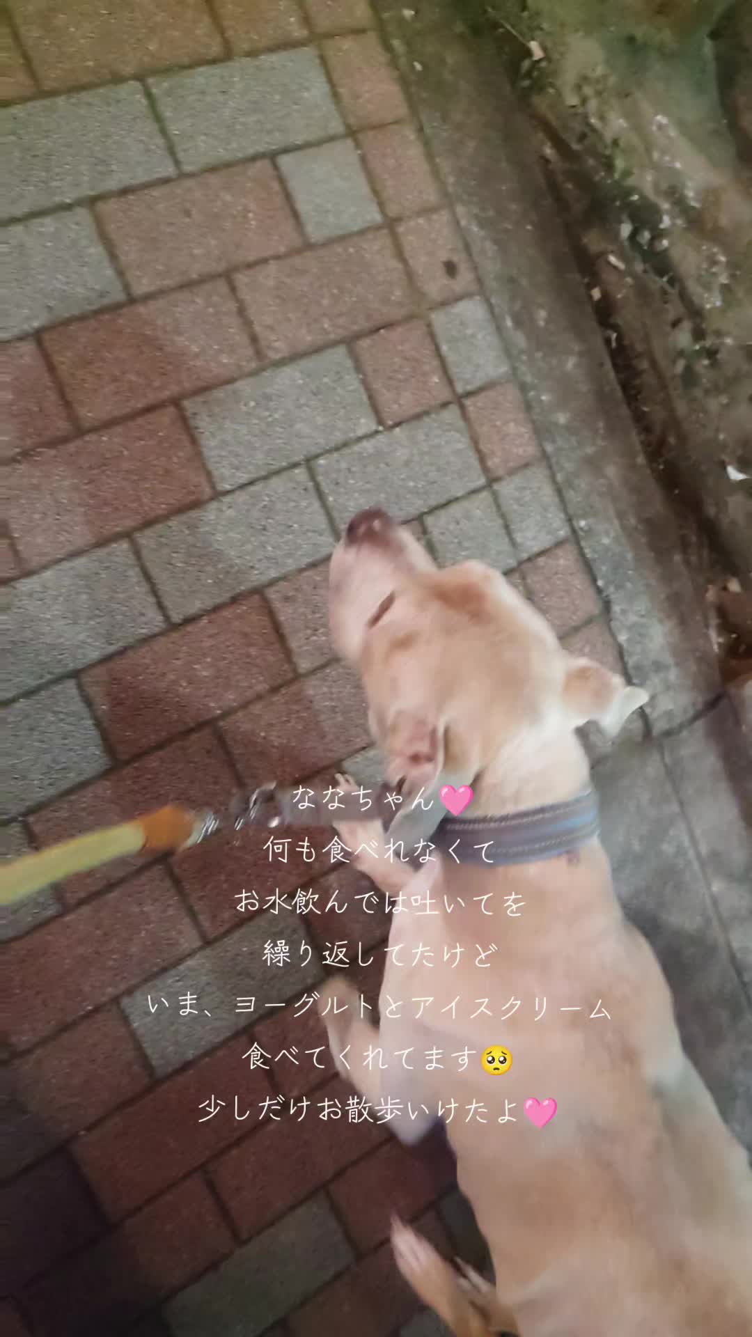 @ðºðžðžðððð¯ðµïœŽïŸïœš