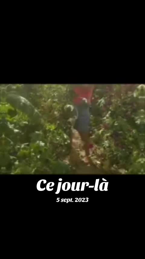 @Aïko