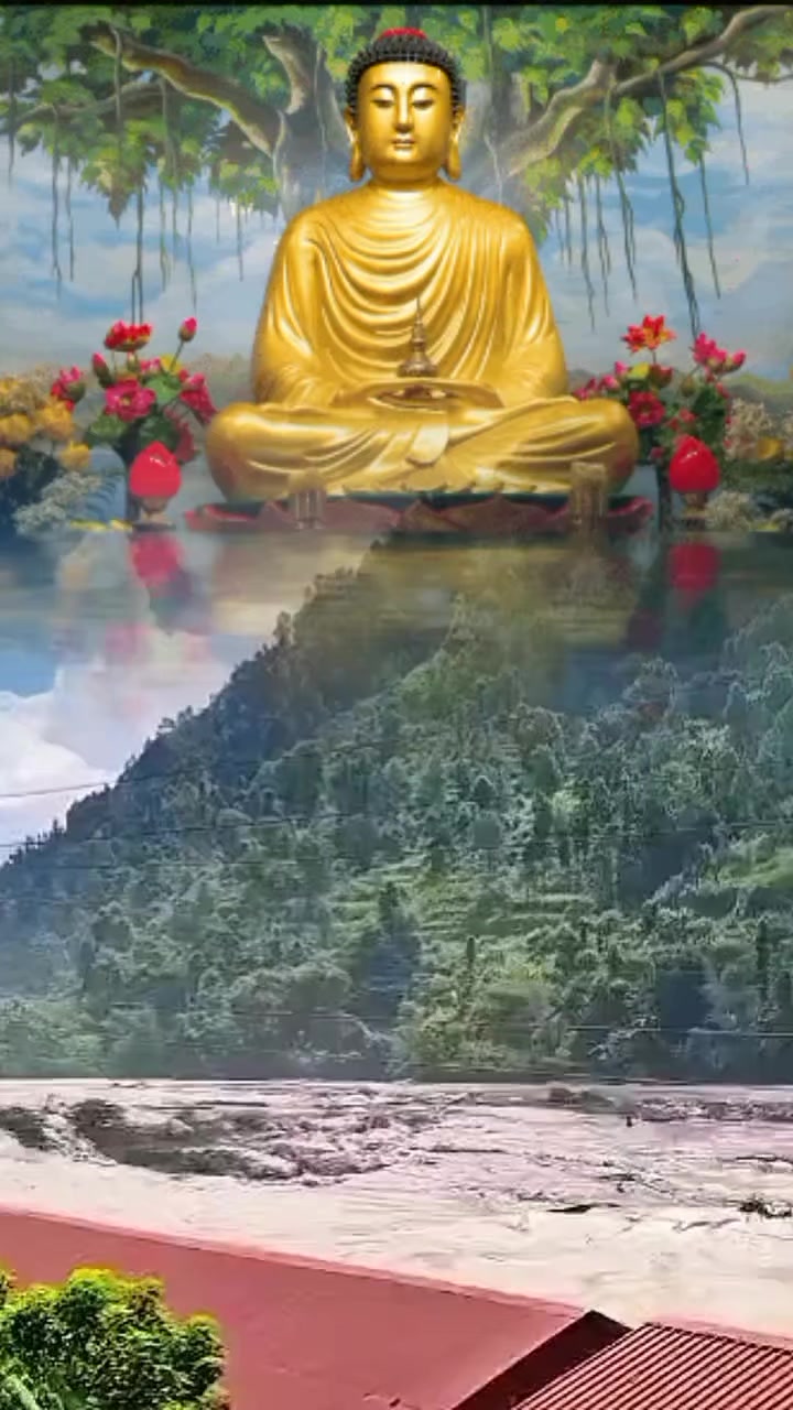@suntalipahari