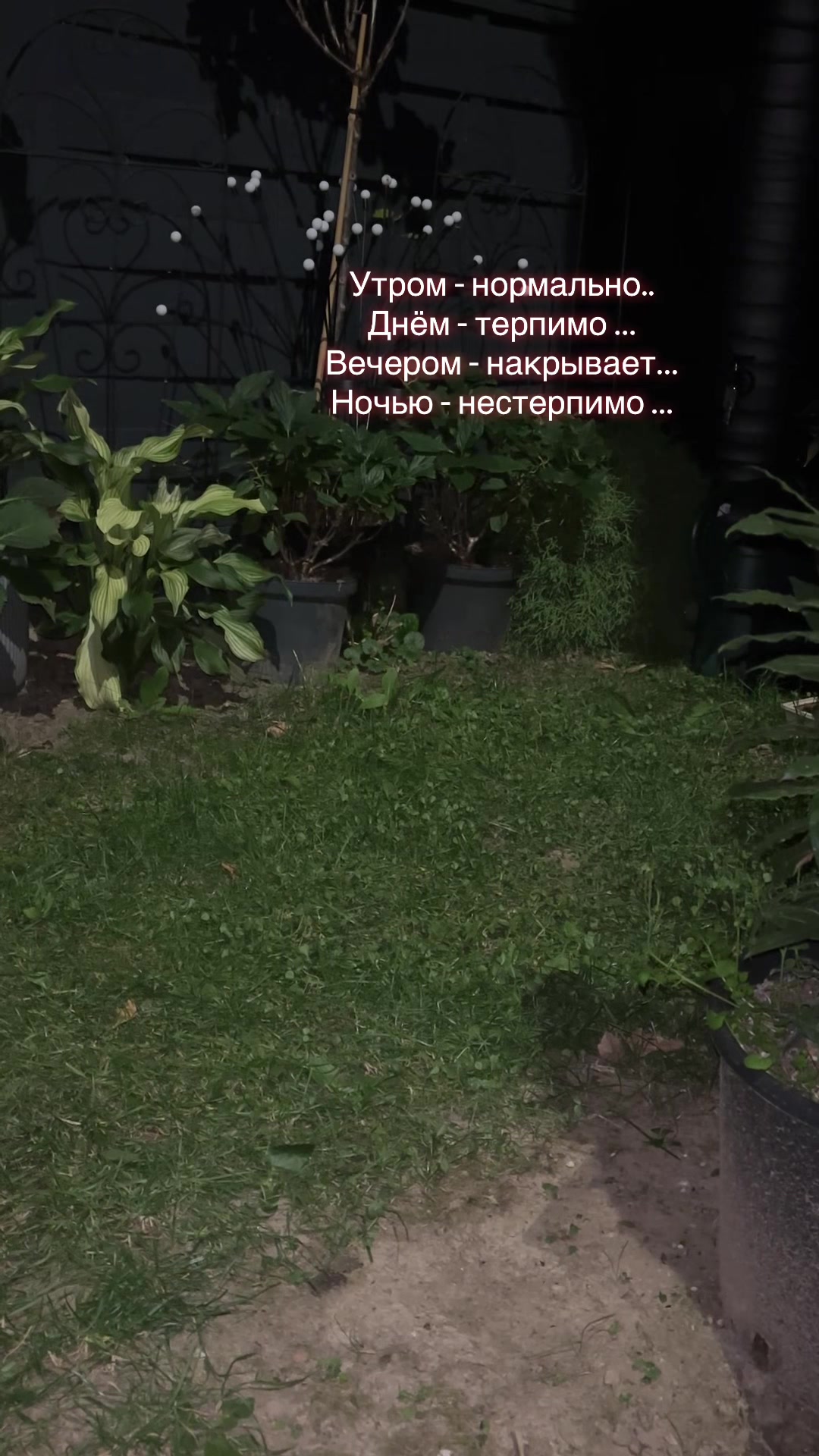 @olga