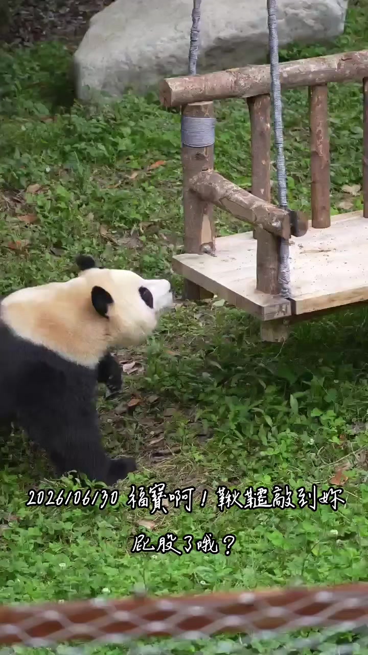 @福寶需要愛的抱抱