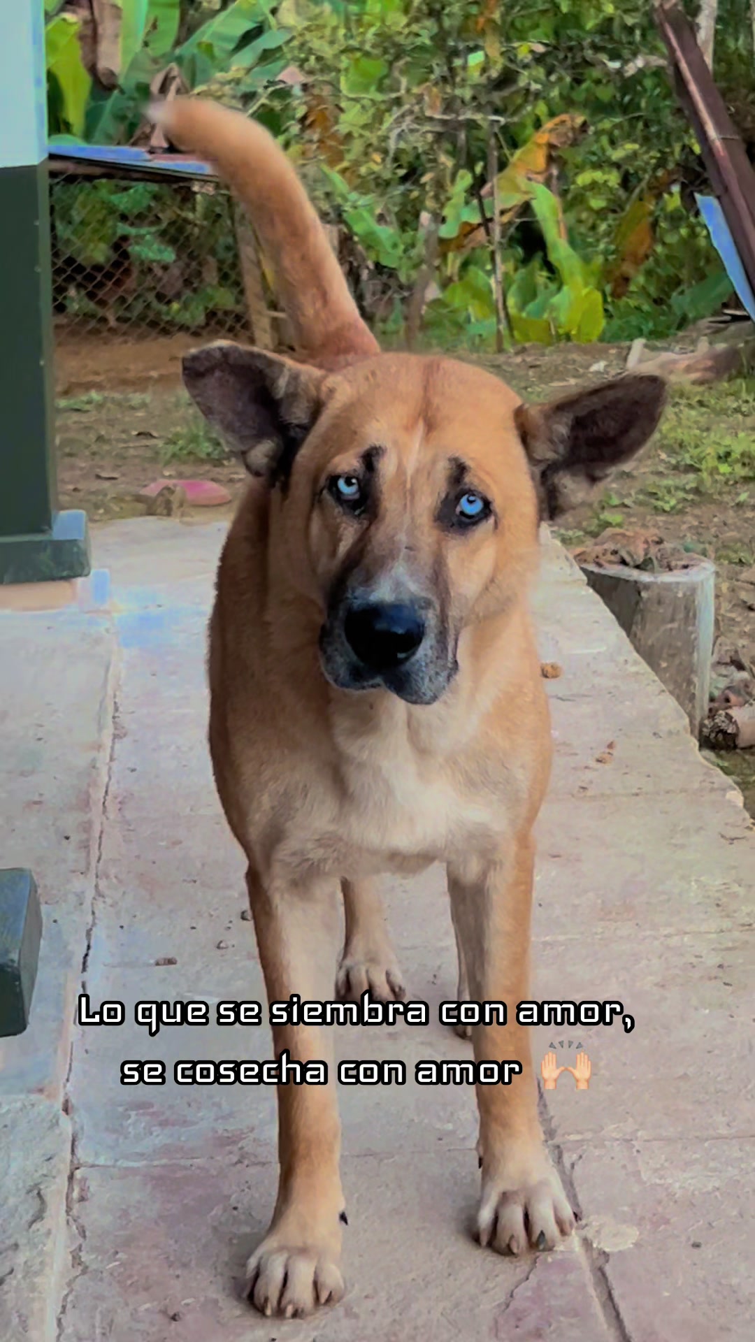 @Erick Ayabaca Vega
