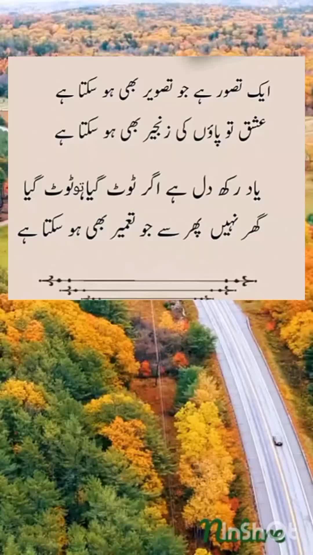 @sharaiz