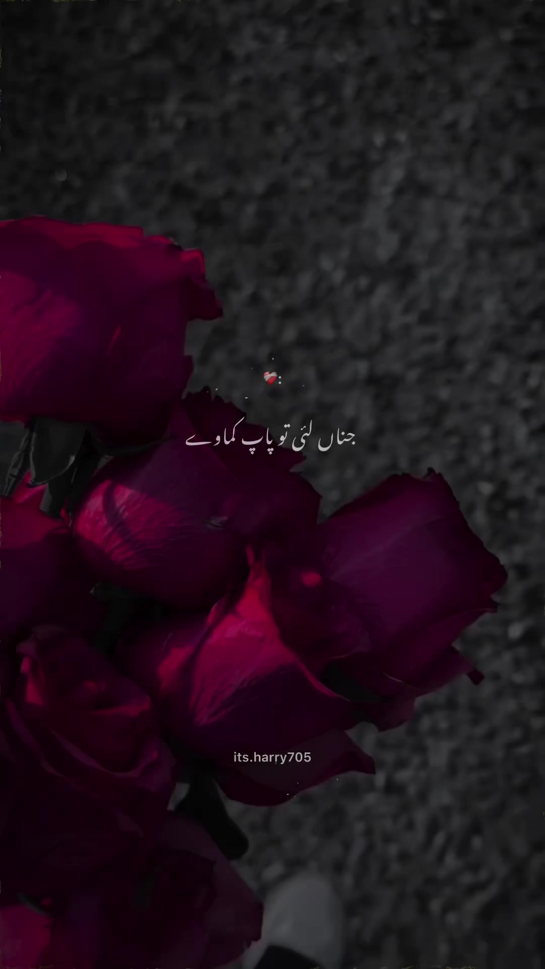 @𝗛𝗮𝗿𝗿𝘆