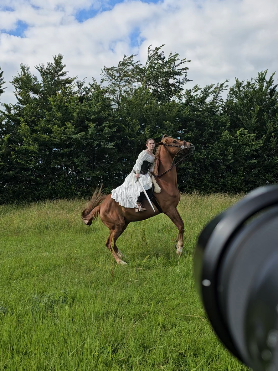 @Dino and horses