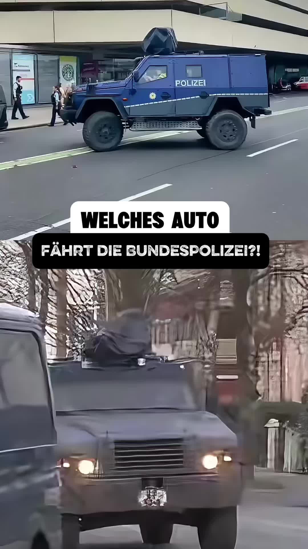 @auto.professor