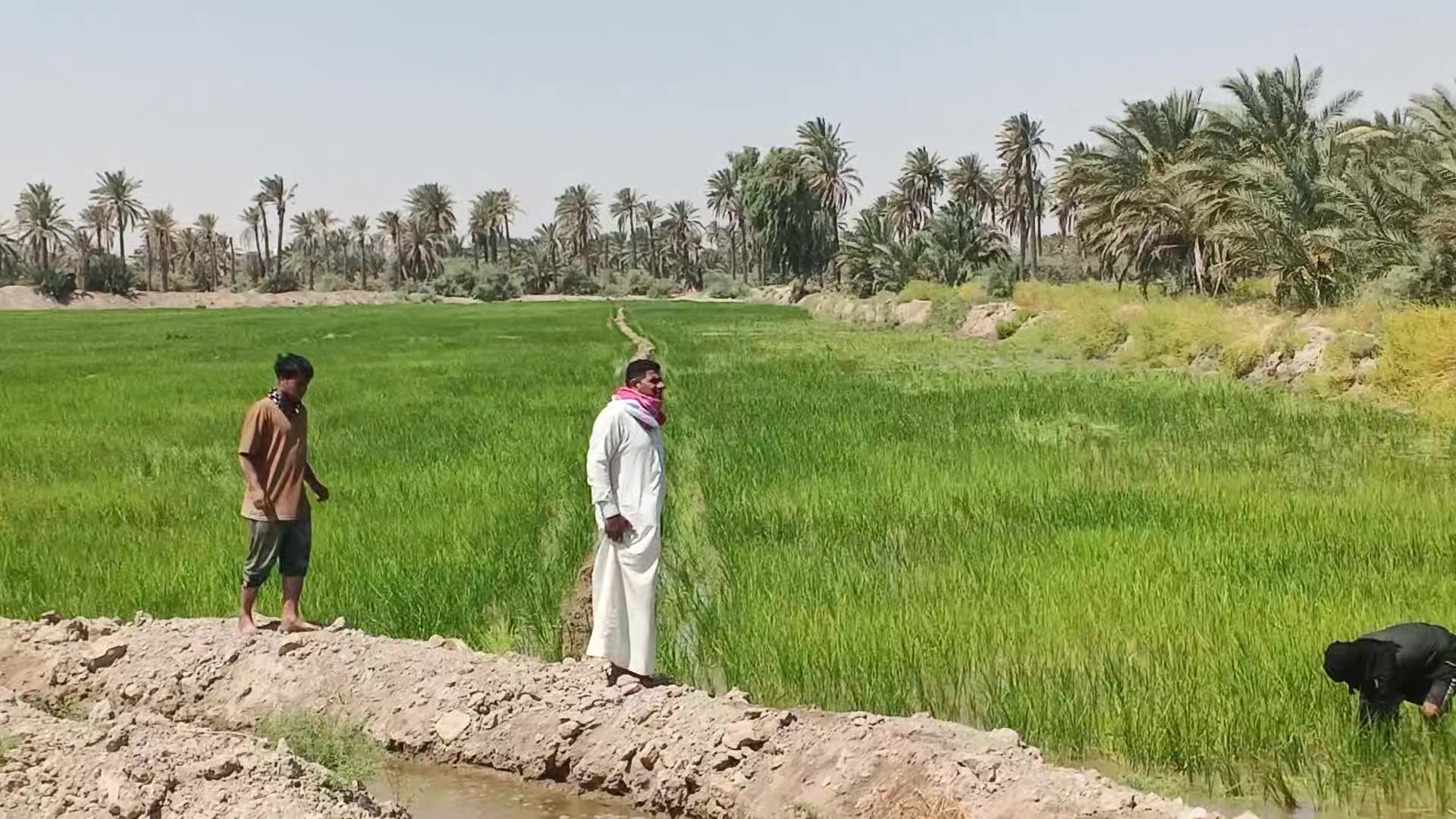 @ابو سلمان العباسي