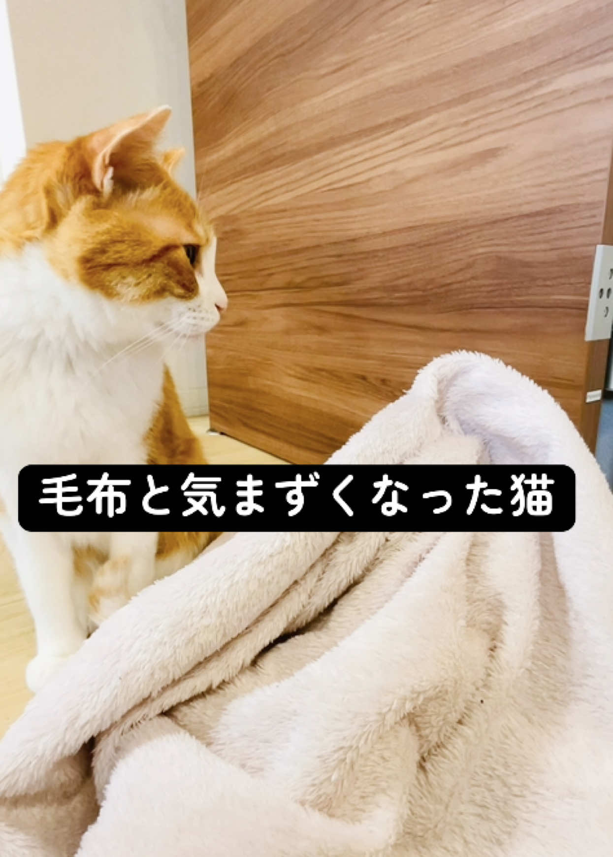 @みーこchannel