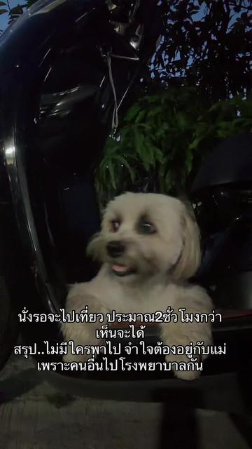 @Looknham