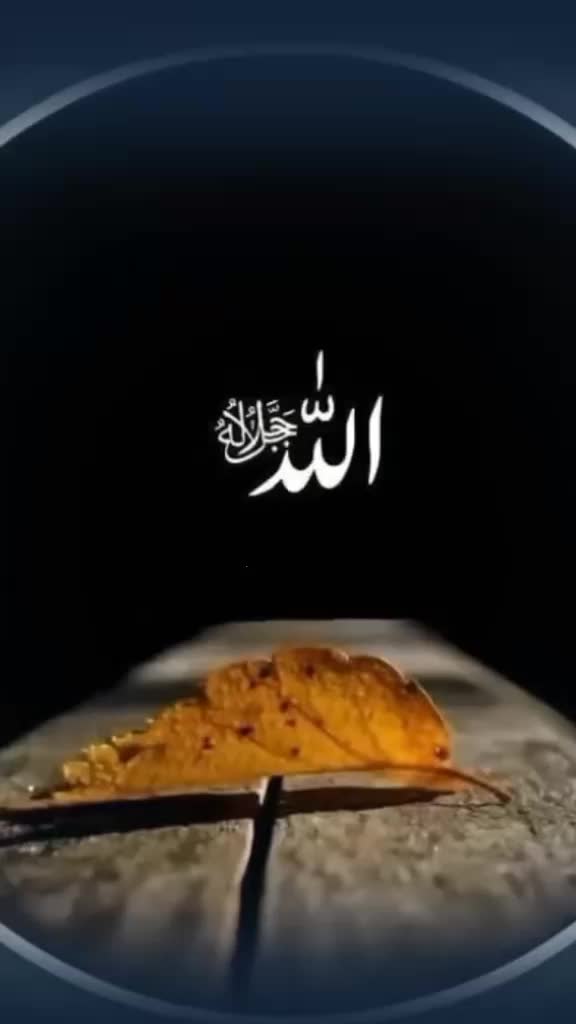 @Rna Salman