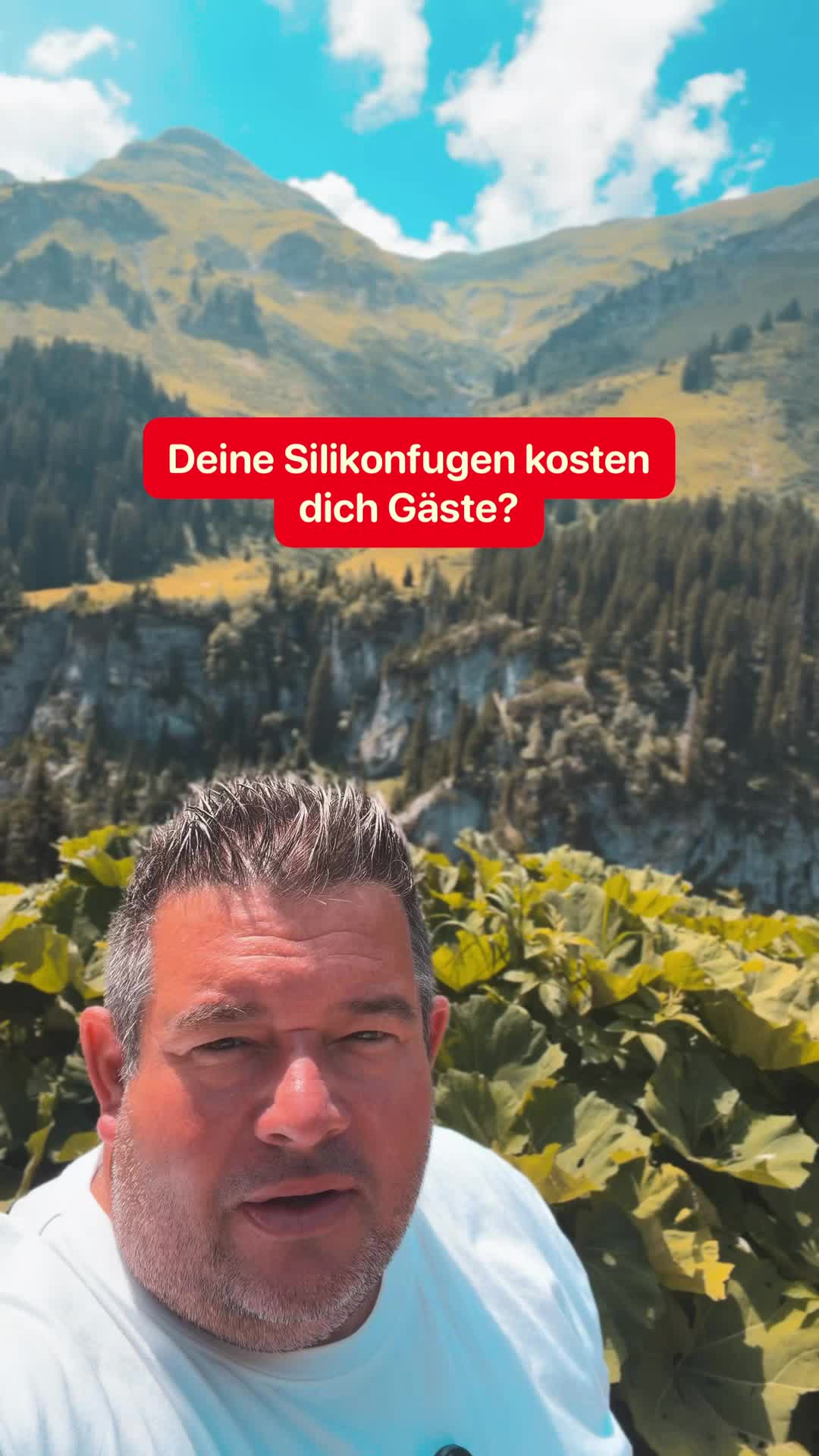 @Silikon Profi