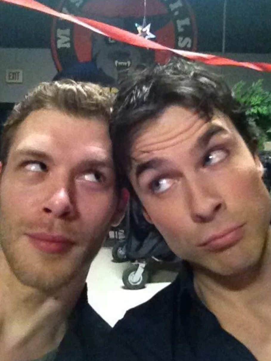 @୨ৎ VAMP.KLAUS
