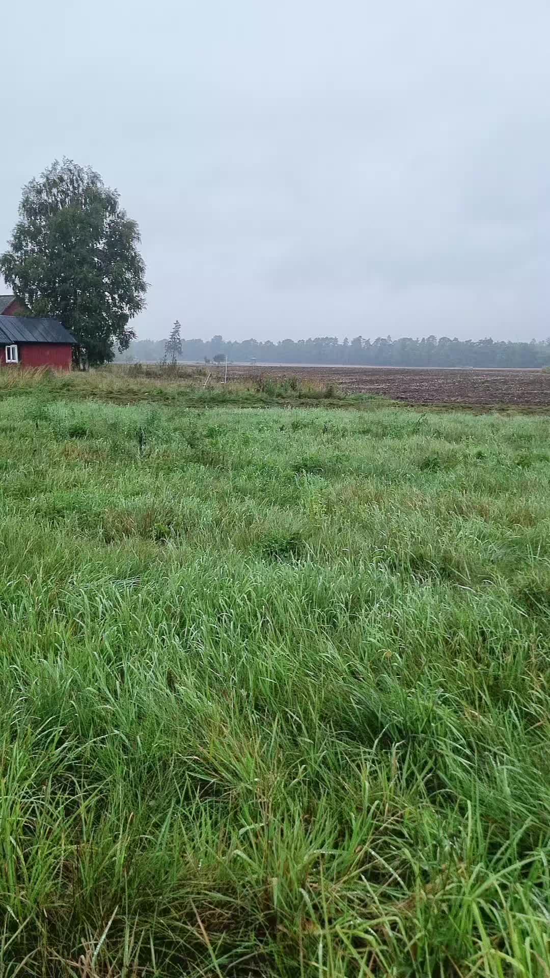 @Lantbruk är livet🚜🤠🌾