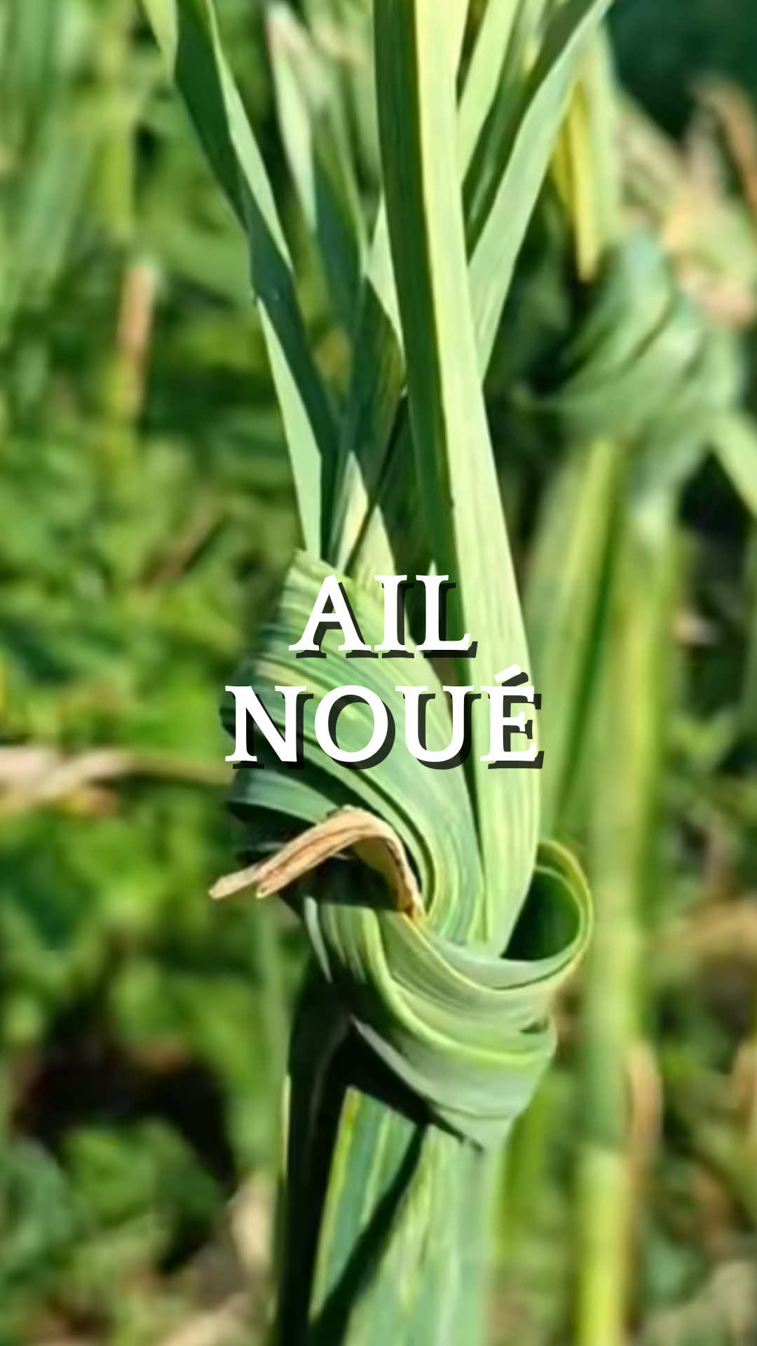 @Retour &agrave; la Terre