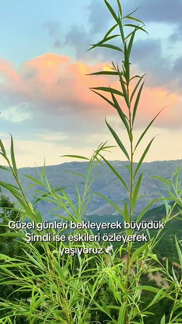 @Figen