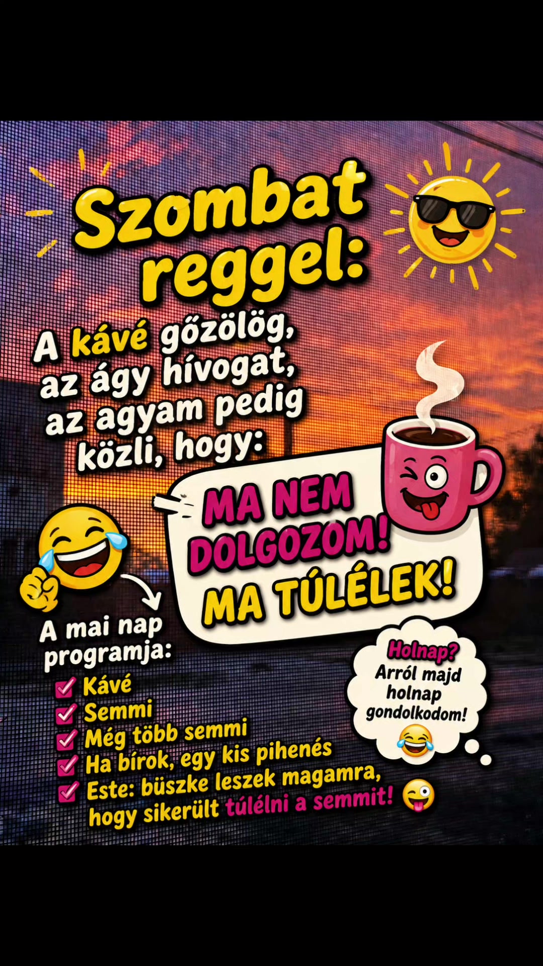 @👑Picis&aacute;rika👑