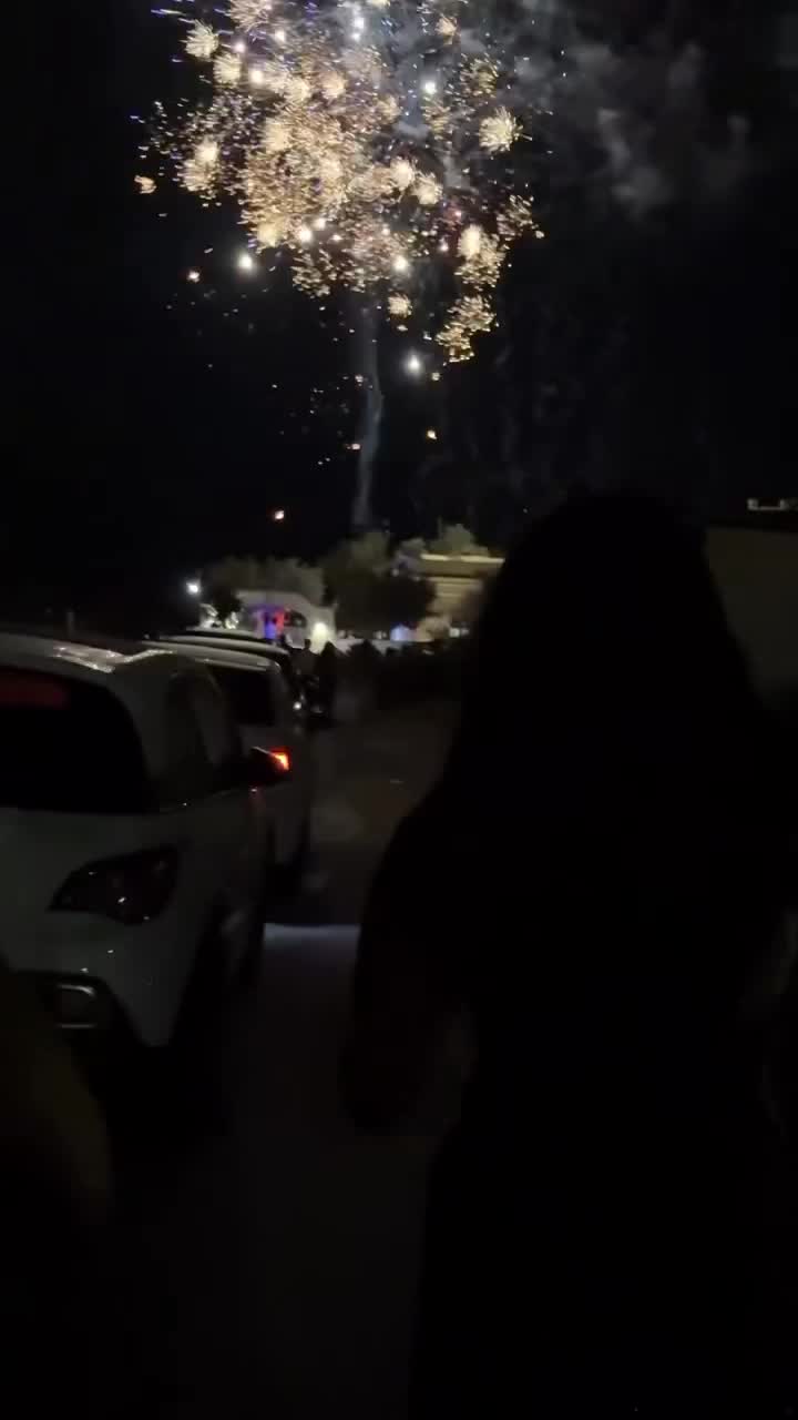 @ζωή🐻