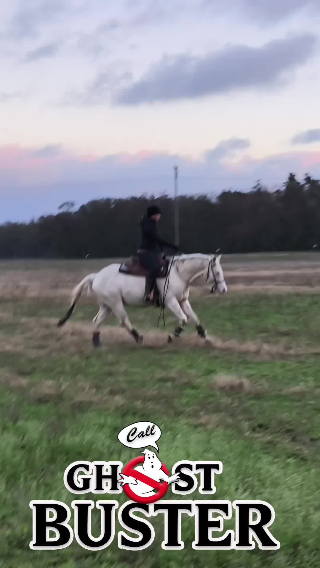 @Sandra Breitenstein