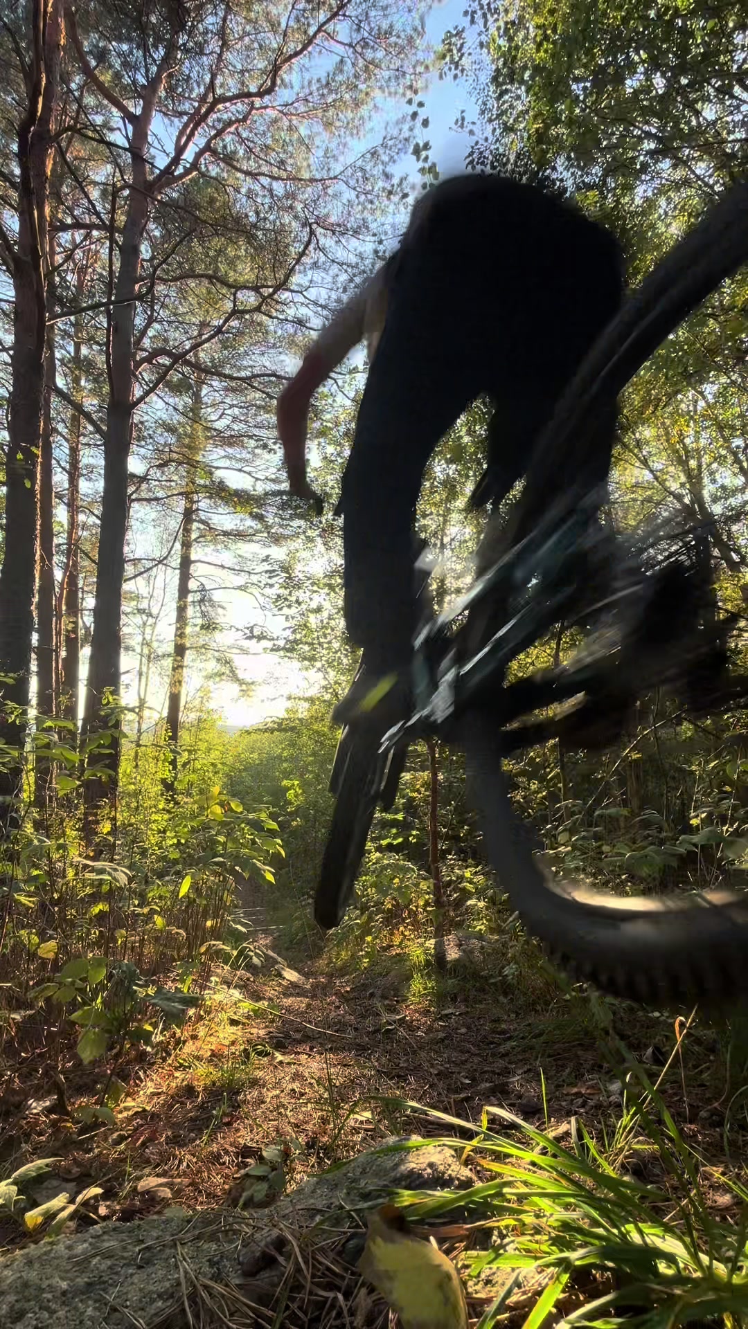 @dogge_mtb