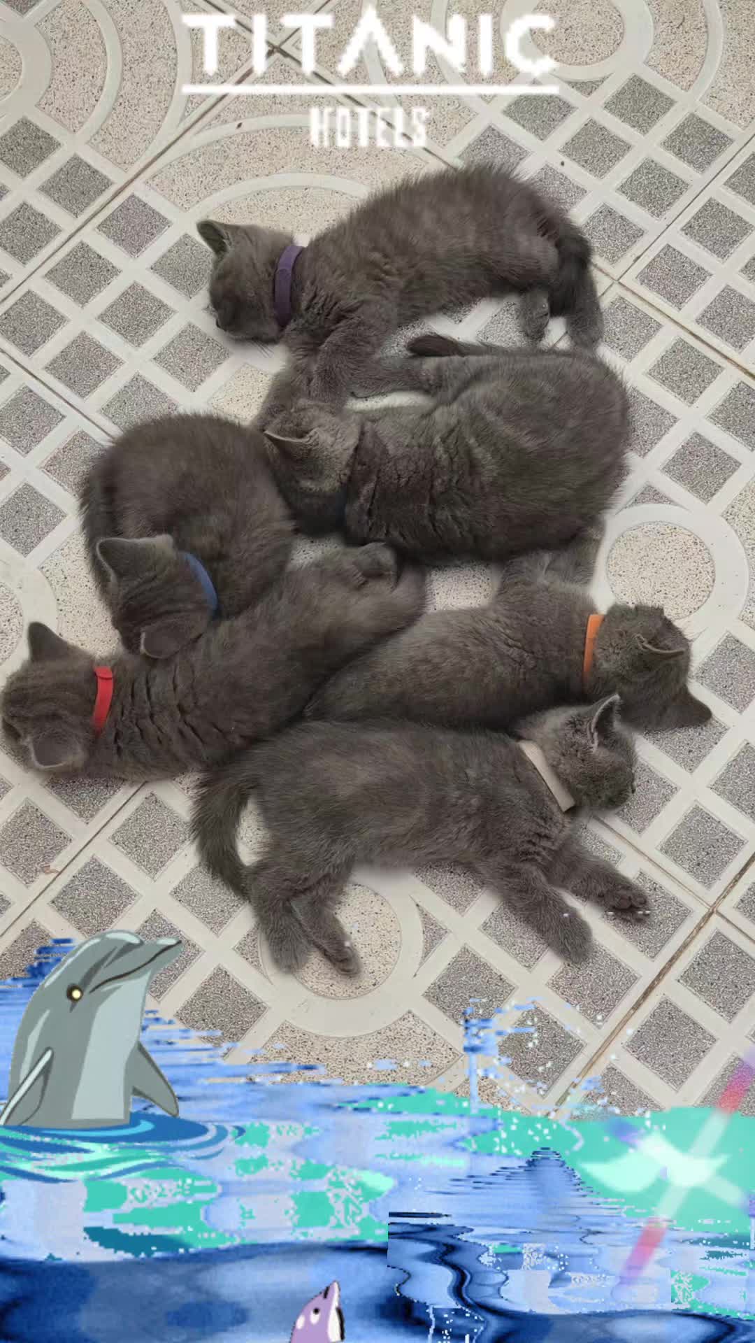 @🐾💕 Ana 💕🐾