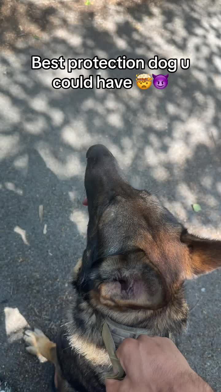 @kay.tt20